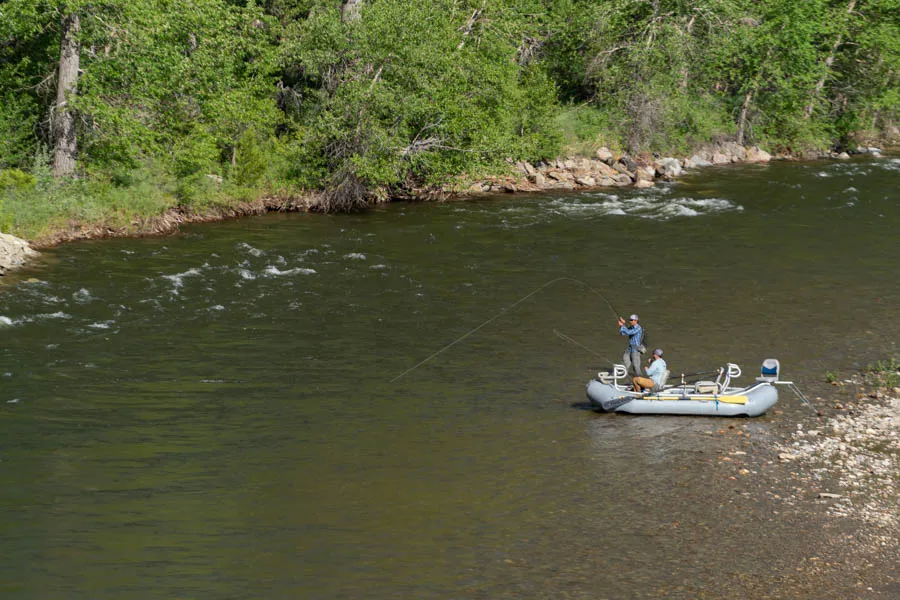 Montana fly fishing