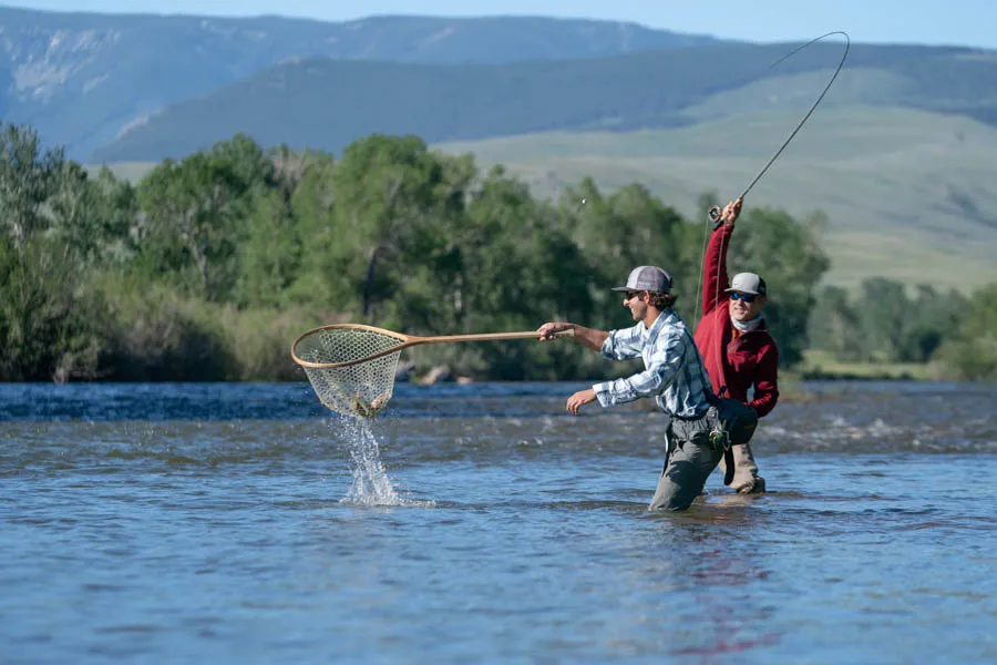 Scoop in the net
