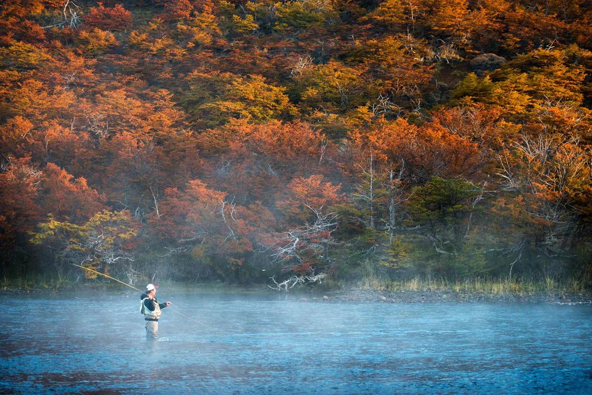 Río Corcovado Resplendent ñire trees in full fall color on the Río Corcovado