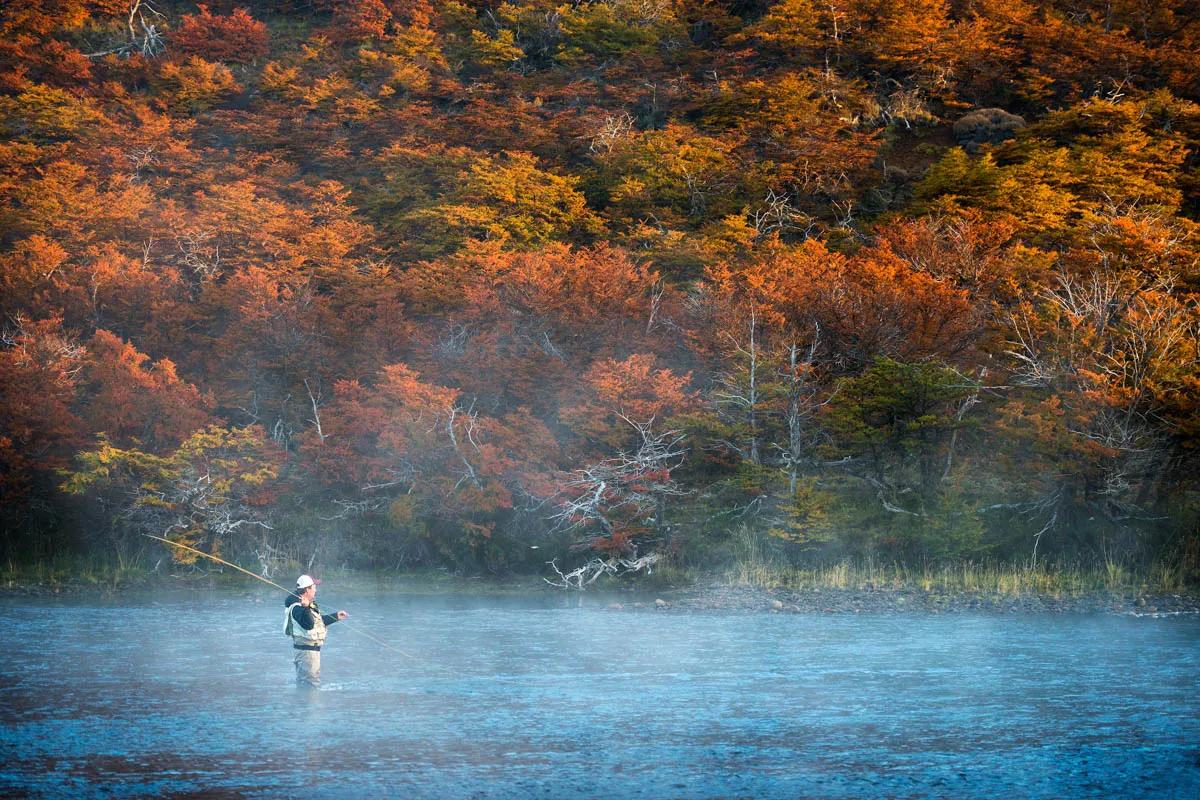 Resplendent ñire trees in full fall color on the Río Corcovado