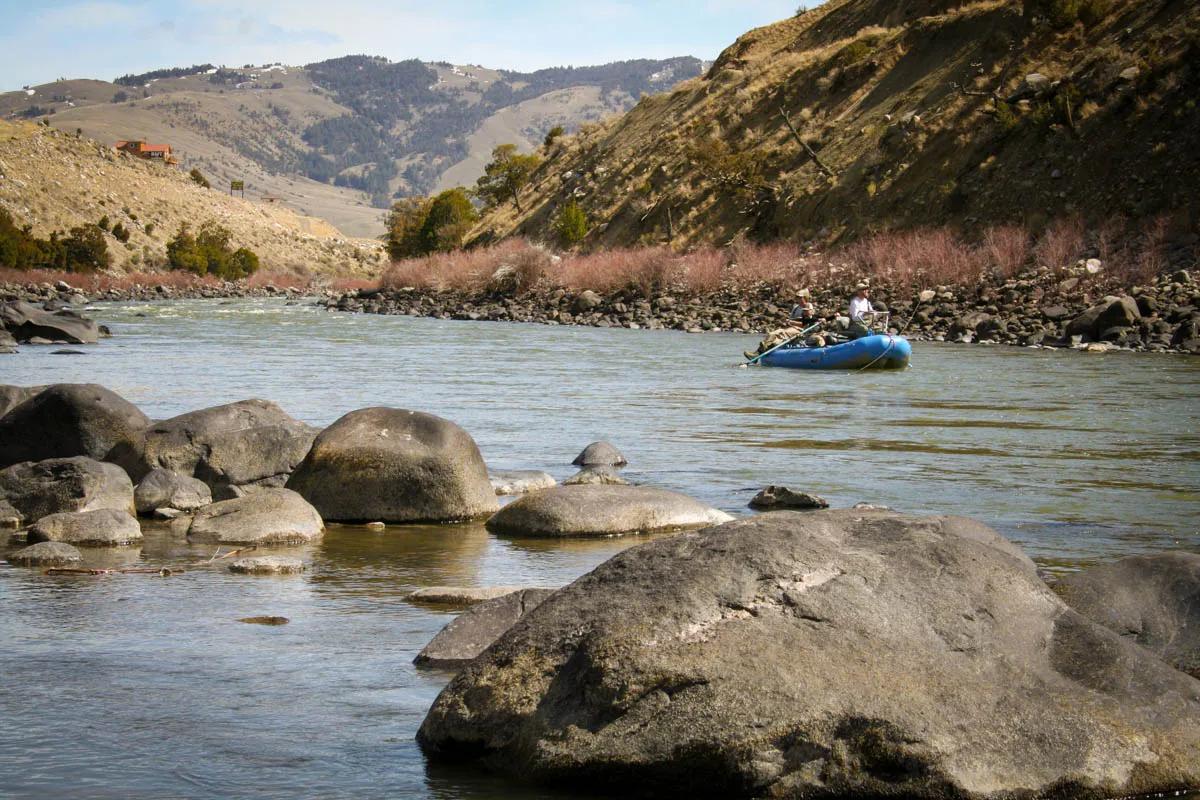 Yellowstone River fly fishing in April