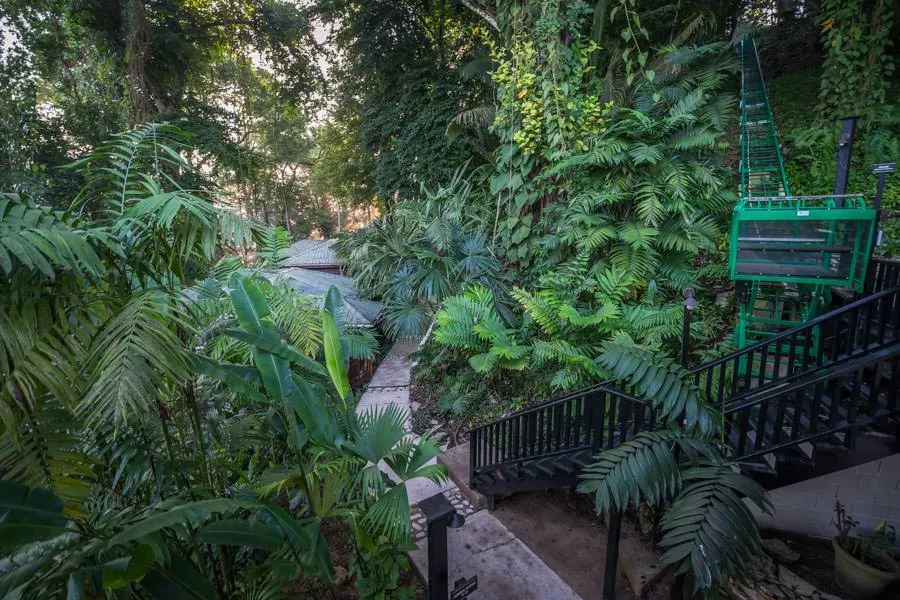 Belize fly fishing Copal Tree Lodge