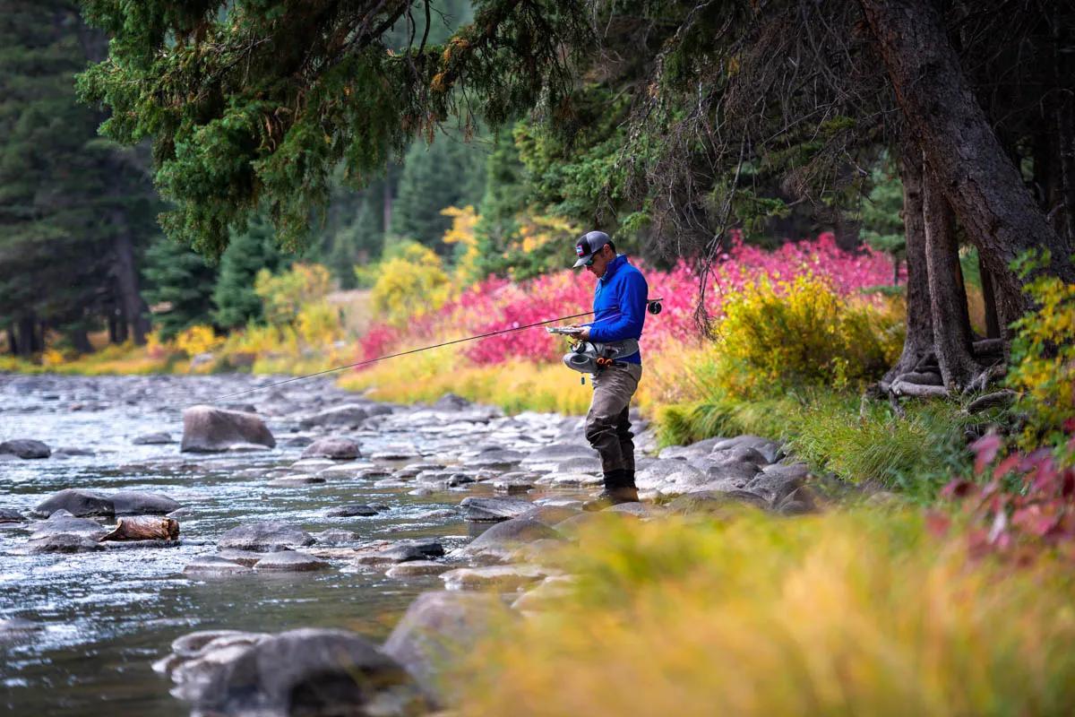 Solitude and aggressive brown trout make for fine fishing on the Gallatin River in October