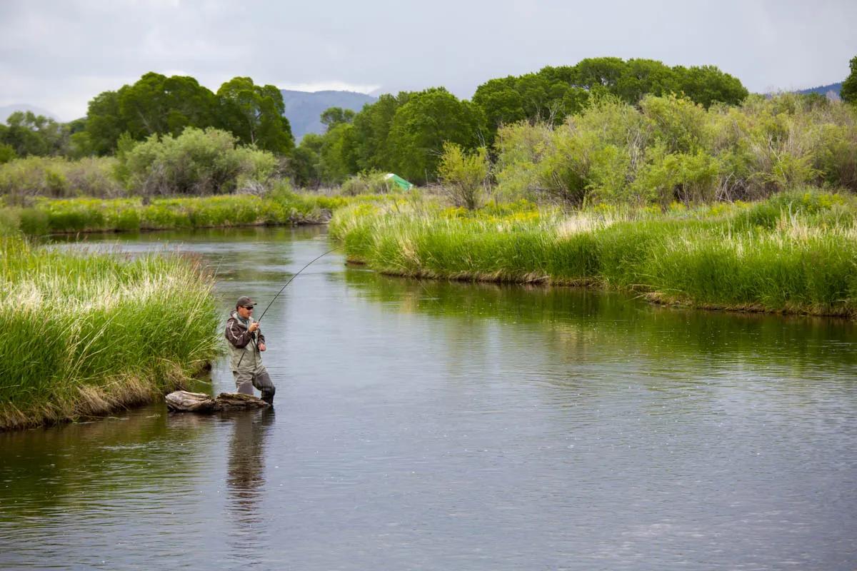 July fly fishing on the Jefferson River If flows hold out, fishing can be productive into July on the Jefferson