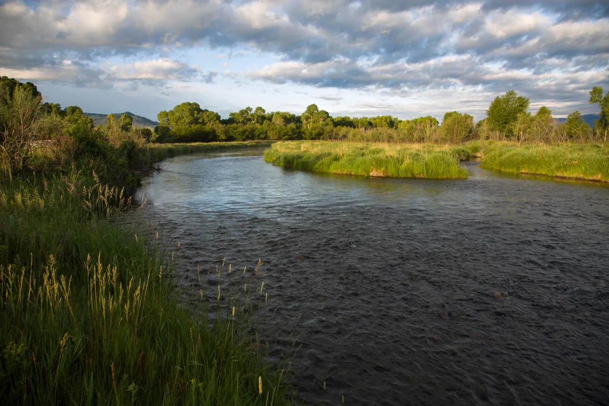 May fly fishing on the Jefferson River The Jefferson River tends to be high and muddy in May