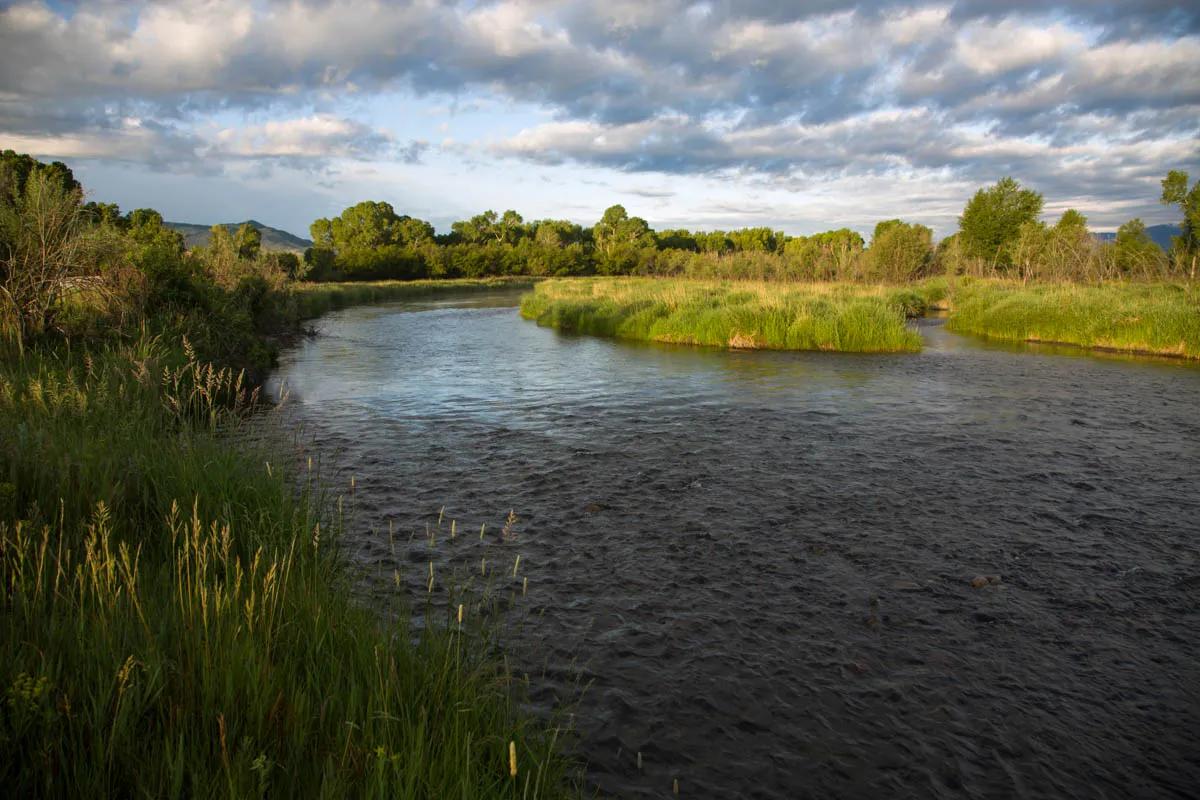 The Jefferson River tends to be high and muddy in May