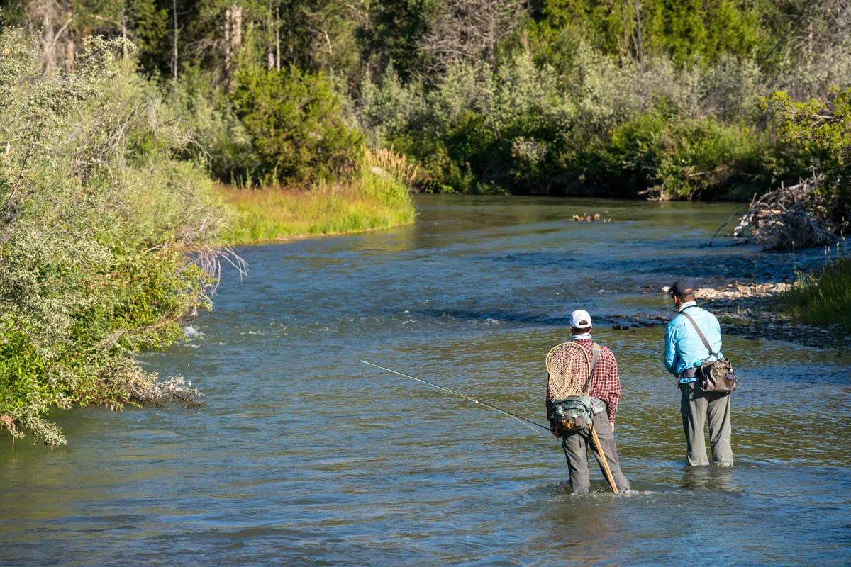 The Ruby River turns on with solid hatches and great fishing after runoff subsides in July