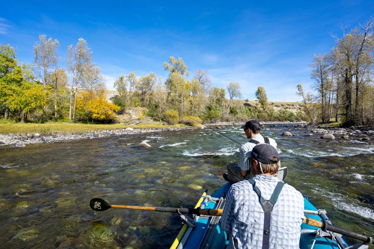 Look for brown trout in the lower reaches of the Stillwater River in September