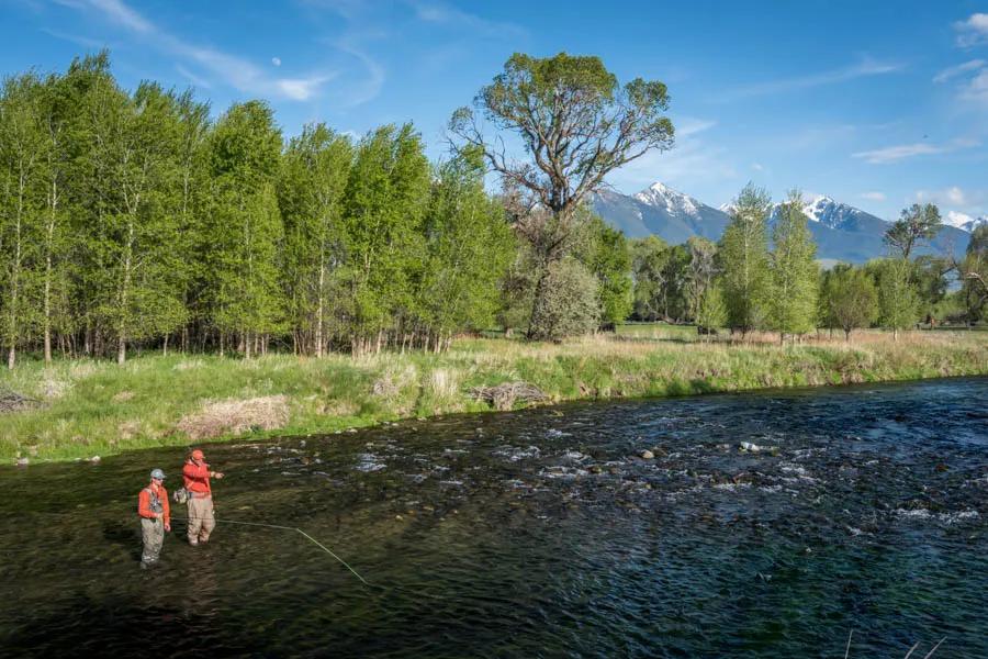 An angler and guide present to rising trout on Armstrong Spring Creek