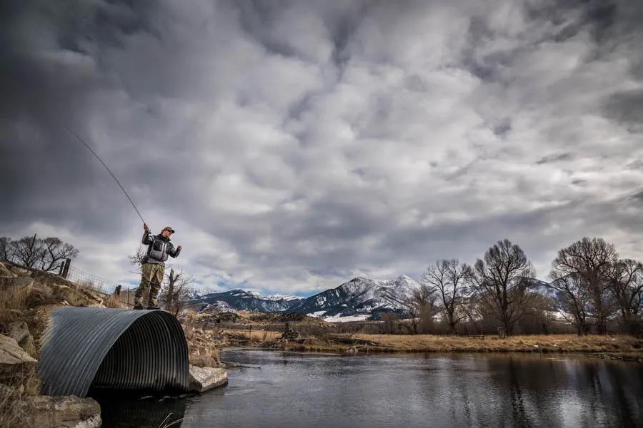 A high vantage point reveals the many trout in Armstrong Spring Creek