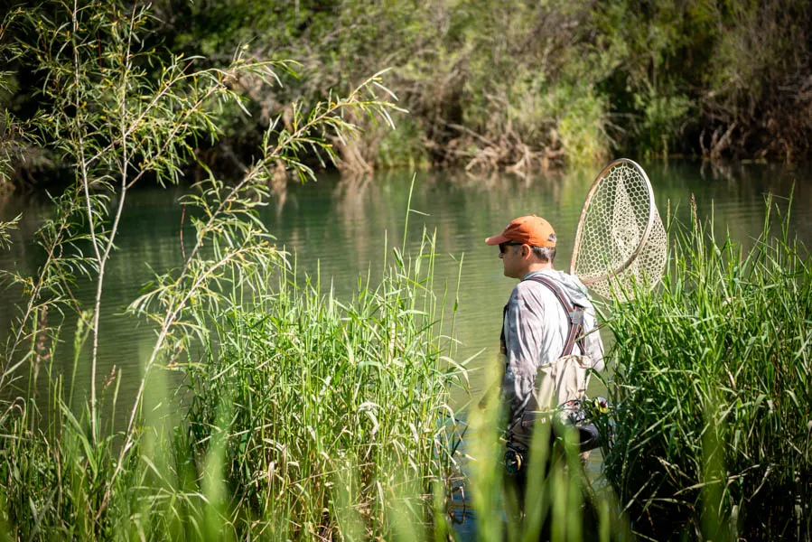 Looking for risers on DePuy Spring Creek