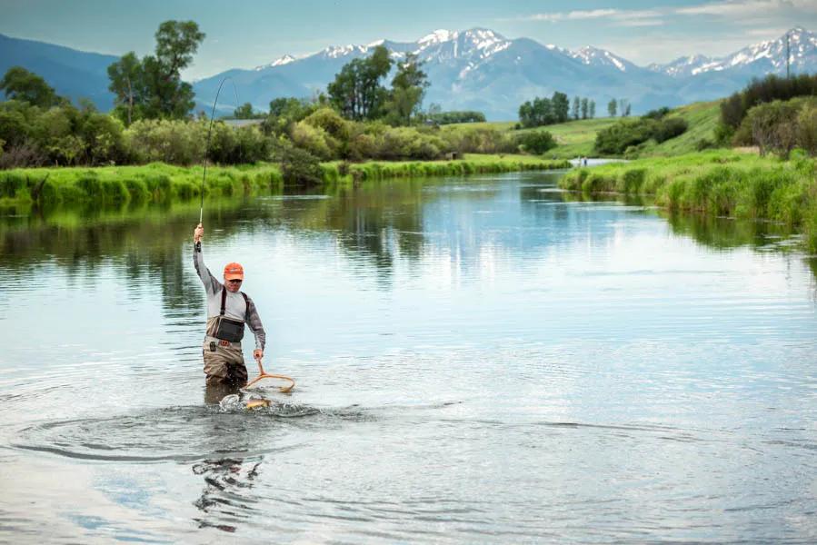 Bringing a brown trout to net on DePuy Spring Creek