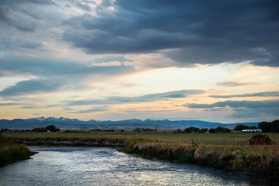 The East Gallatin River has excellent evening hatches