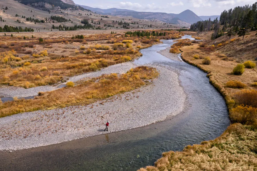 The Gallatin River flows out of Yellowstone National Park