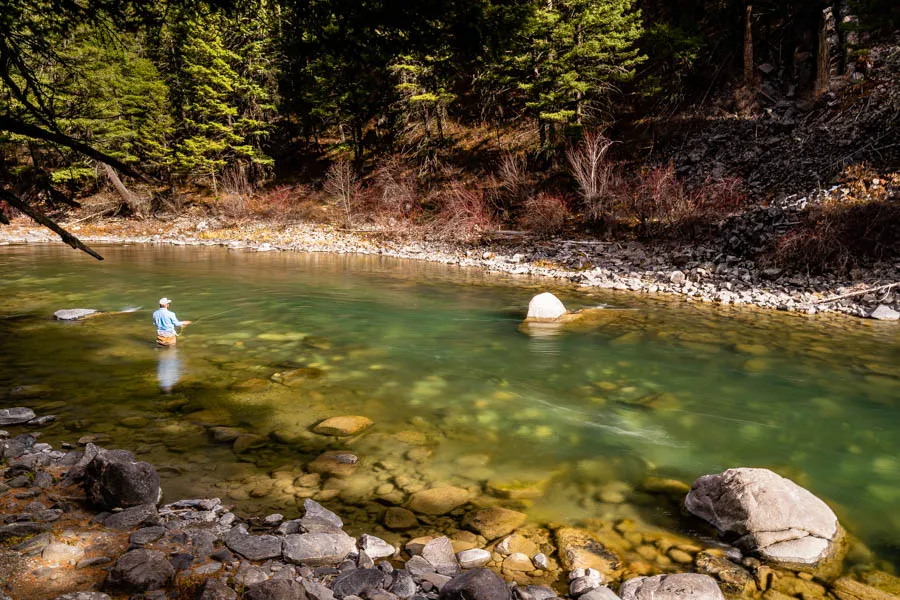 The emerald green waters of the Gallatin River