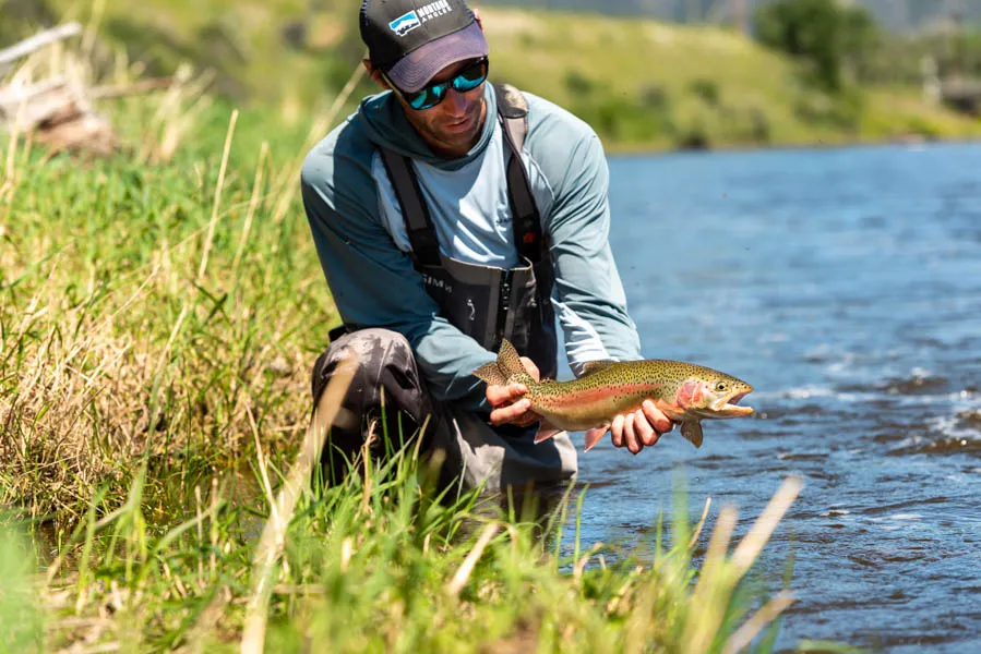A fly fisherman admires a rainbow trout caught on the Jefferson River