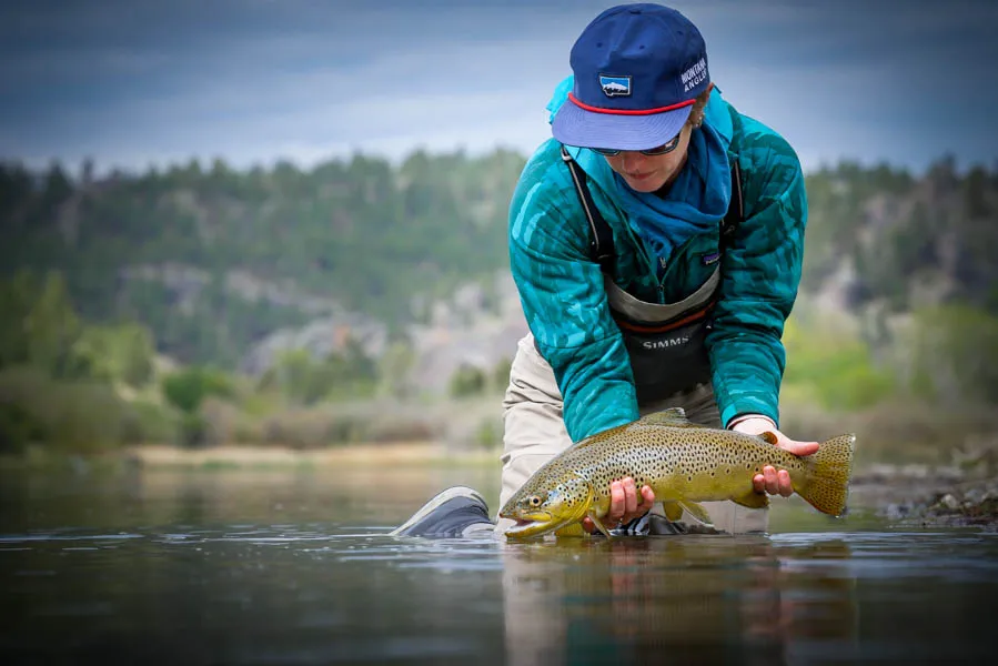 An angler releases a brown trout on the Missouri River