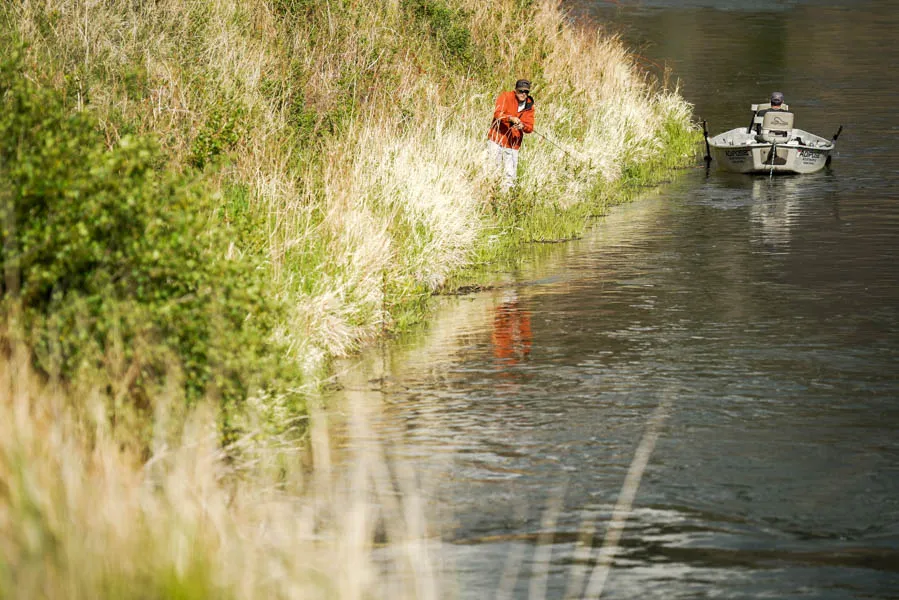 Stalking the banks looking for rising trout on the Mo