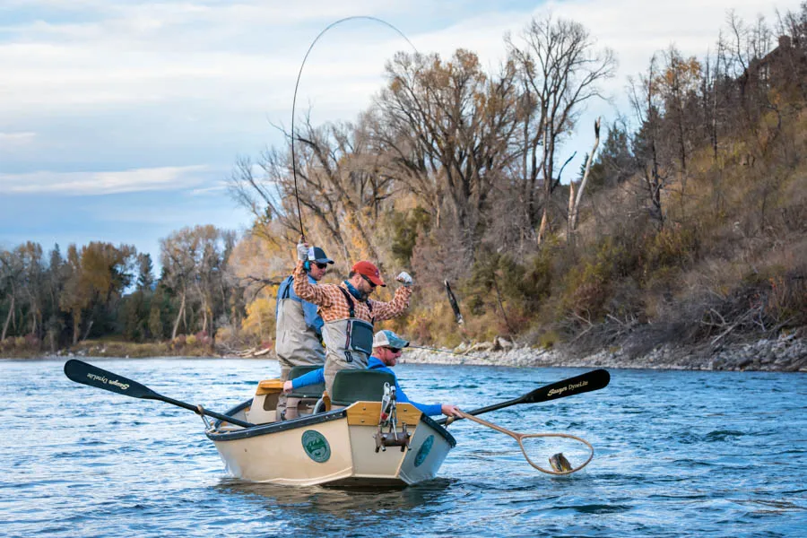 Success is never far off when fishing the Yellowstone
