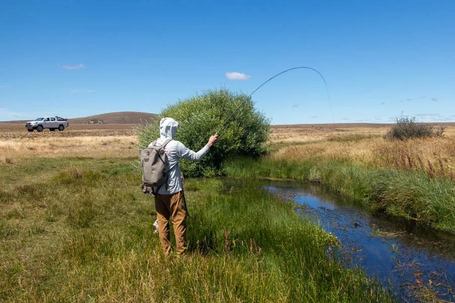 Hooked up on a tiny spring creek on the way to Brook Trout Base Camp