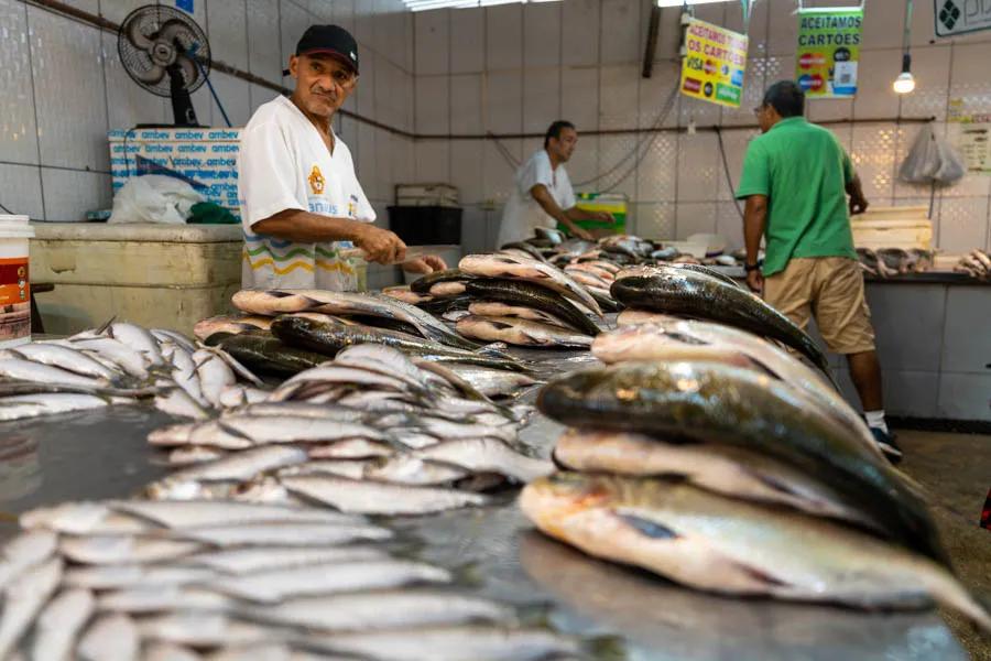 The Manaus fish market is always an adventure. The market is vast and vendors sell fresh fish daily from the Amazon river and its tributaries