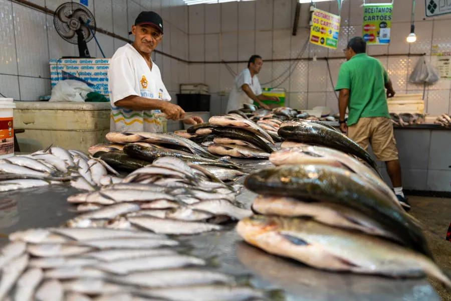Manuas fish market The Manaus fish market is always an adventure. The market is vast and vendors sell fresh fish daily from the Amazon river and its tributaries