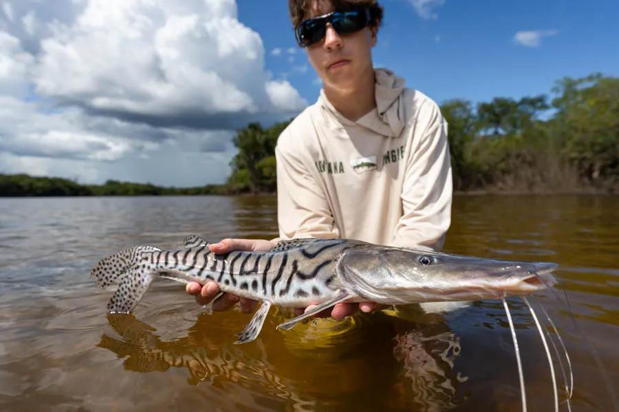 Amazon catfish The diversity of fishing species in the Amazon River has no comparisons. There are more than 500 species of catfish alone which is more than all freshwaters species in North America combined!