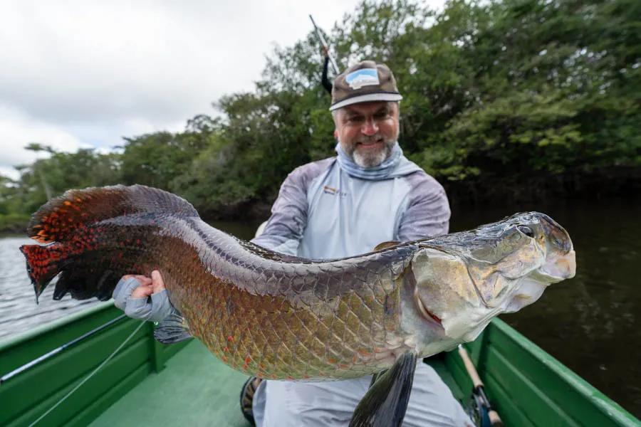 Arapaima made it to the top of my bucket list after my first visit to the Amazon and watched a 200+ pound monster roll in a laguna. After several years of trying for one we were finally succesful! Although this "baby" was well under the 100lb mark, it was still force to be reckoned with.