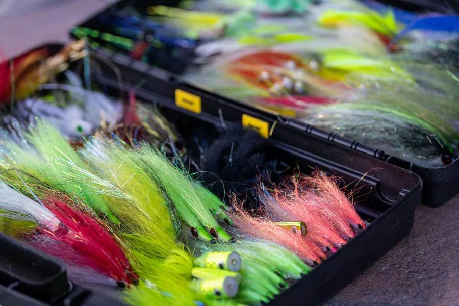 Jungle fishing flies The jungle fly box isn't lacking in colorful patterns.