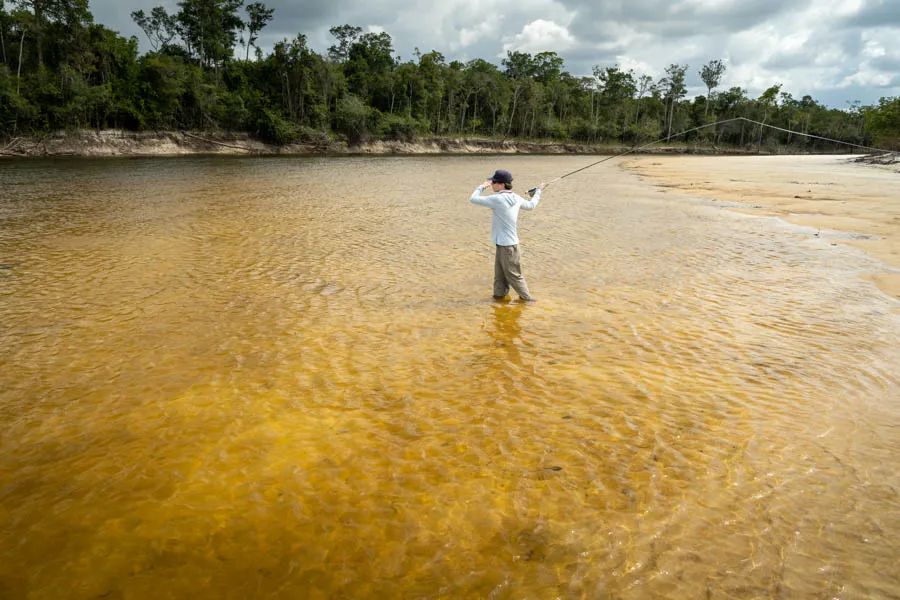 Fly fishing Brazil