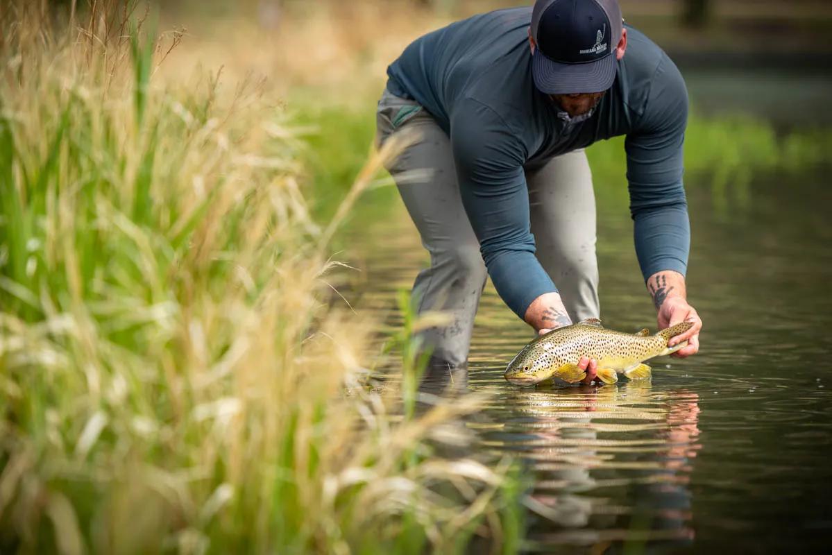 Brown Trout Depth of field and bokeh effects are accentuated in this image by capturing the visual distance between the foreground, background and the subject