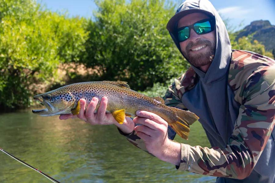 Argentina brown trout A nice brown I had the opportunity to target on the Futa while throwing dry flies