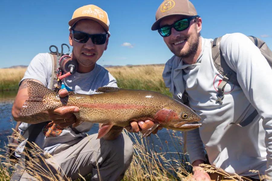 A chunky spring creek rainbow!