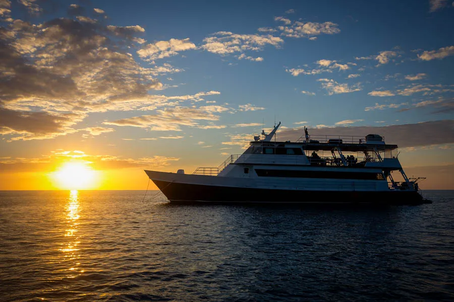 Avalon boat