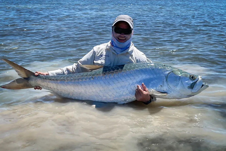 Big Cuba tarpon