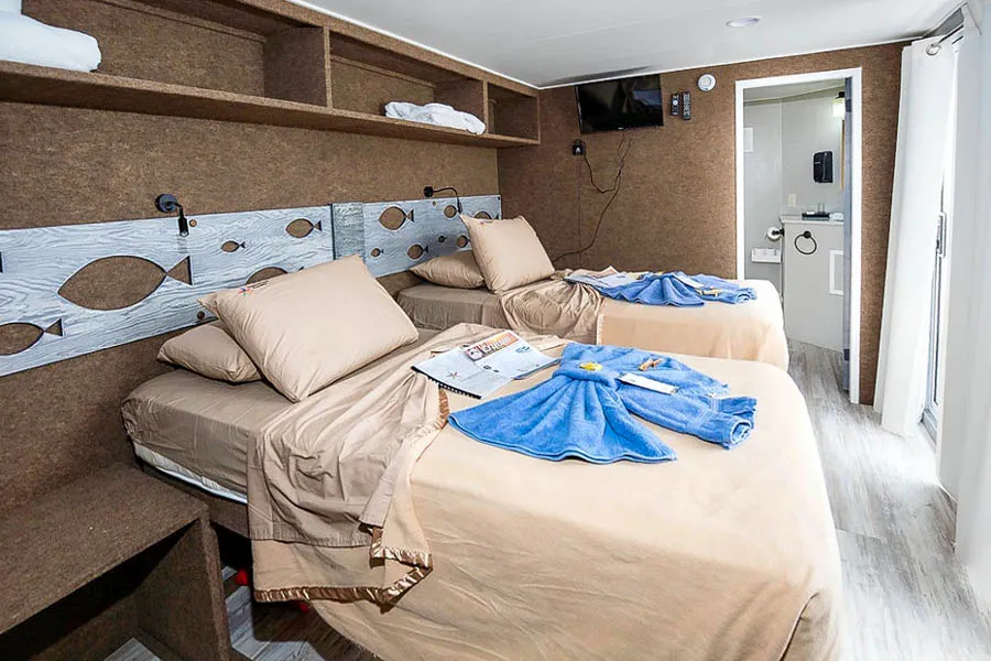 Avalon beds