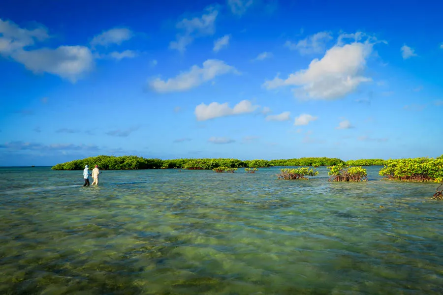 Avalon fishing trip in Cuba