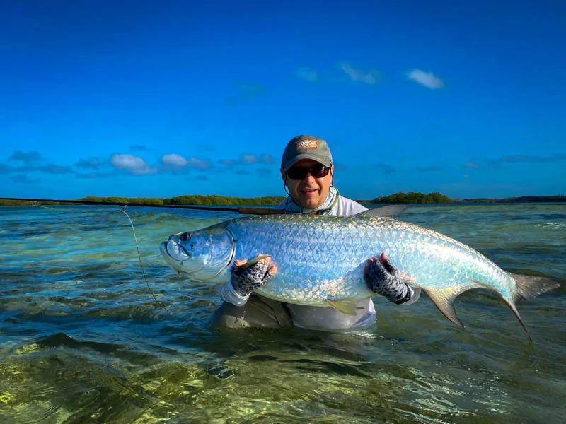 Tarpon in Cuba