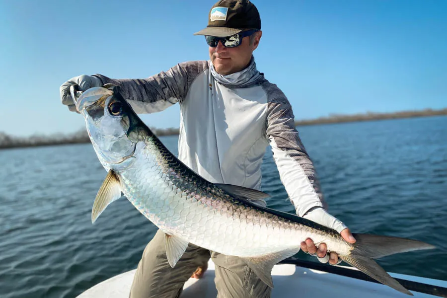 Cuba tarpon