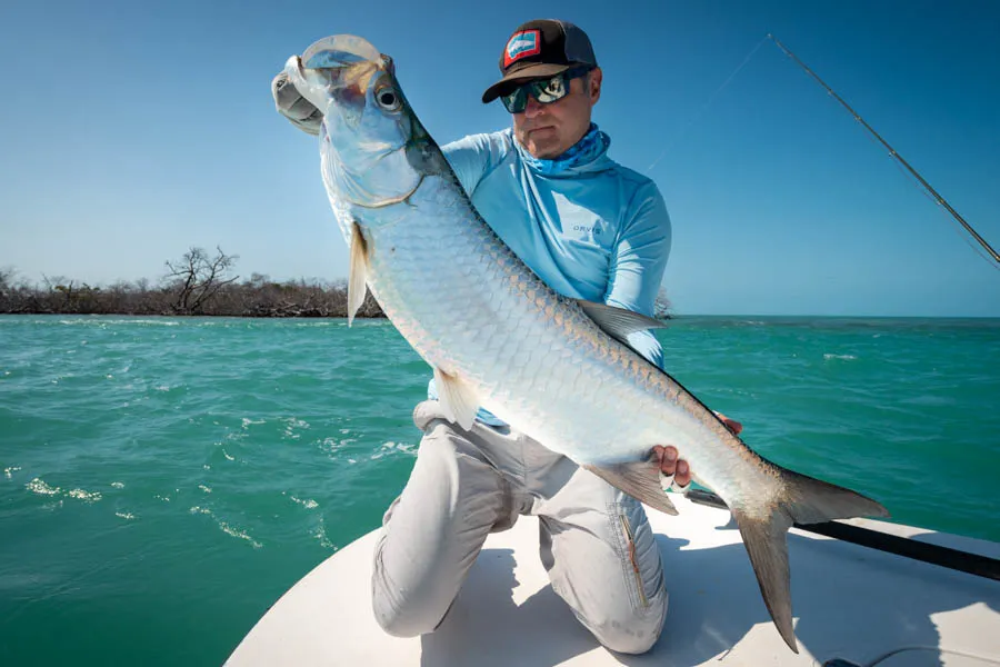 Big Cuba tarpon