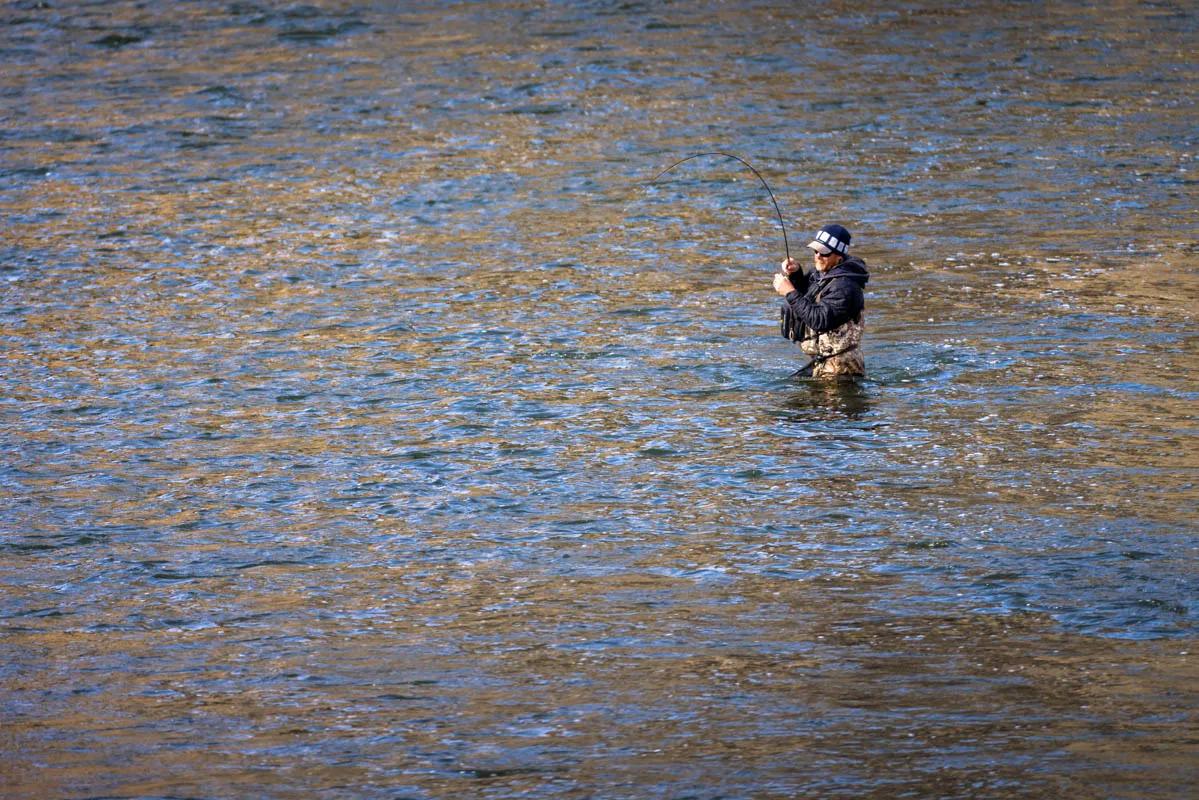 While an important food source for trout throughout the year, midge fishing peaks for anglers in Montana during the late winter and early spring.