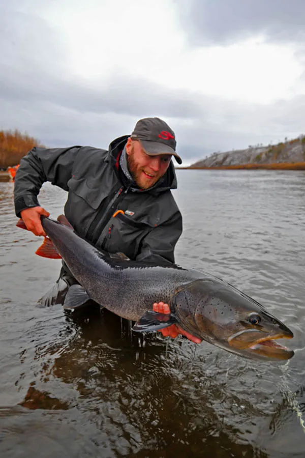 Mongolia fishing taimen