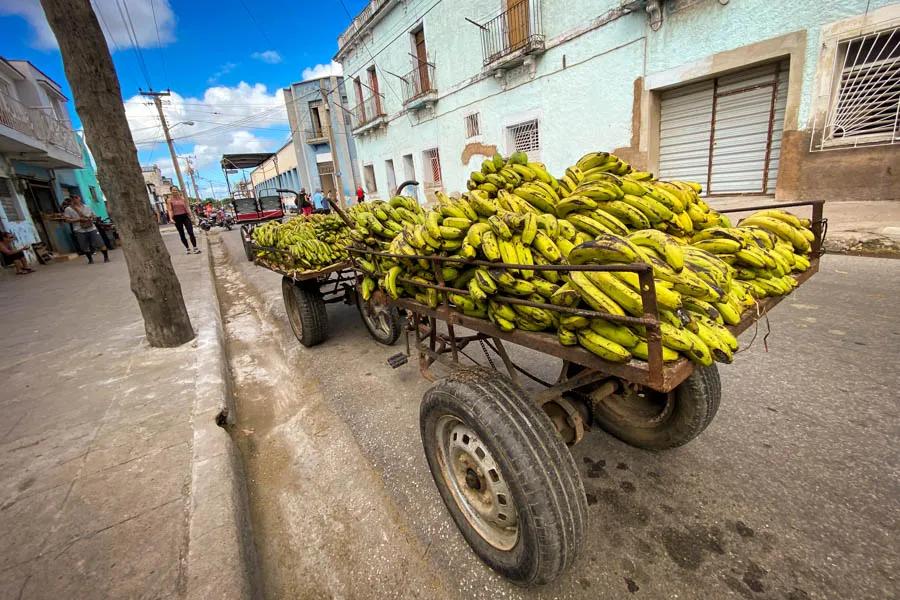 Street corner vendors were common selling bananas, limes, and other local produce.