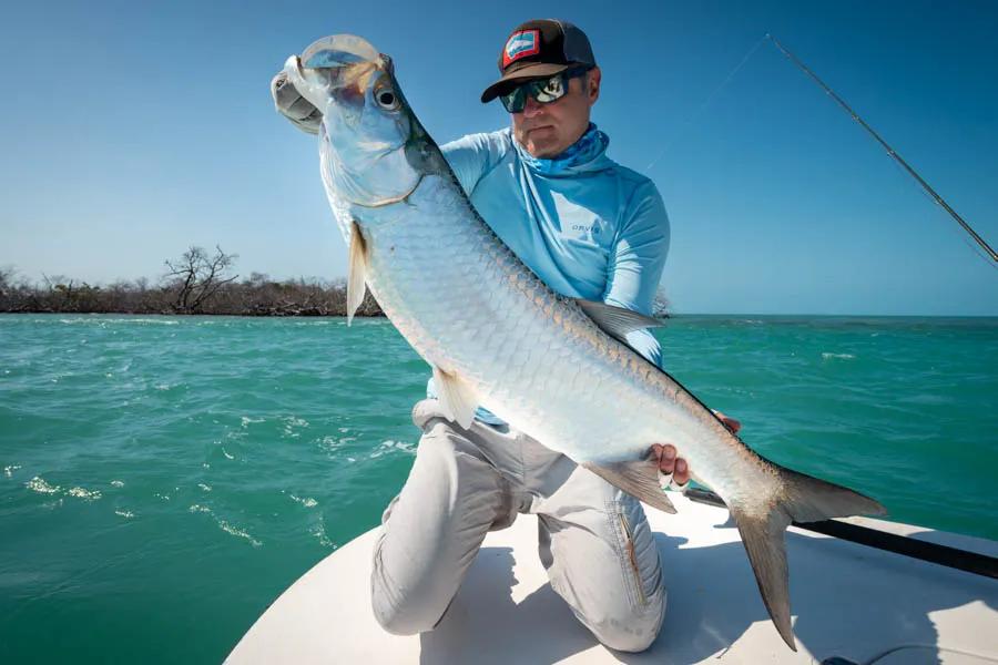 A nice 50lb tarpon. We had great shots at tarpon each day which was a bit of a surprise for the off season. During the migration the flats are filled with rolling fish!