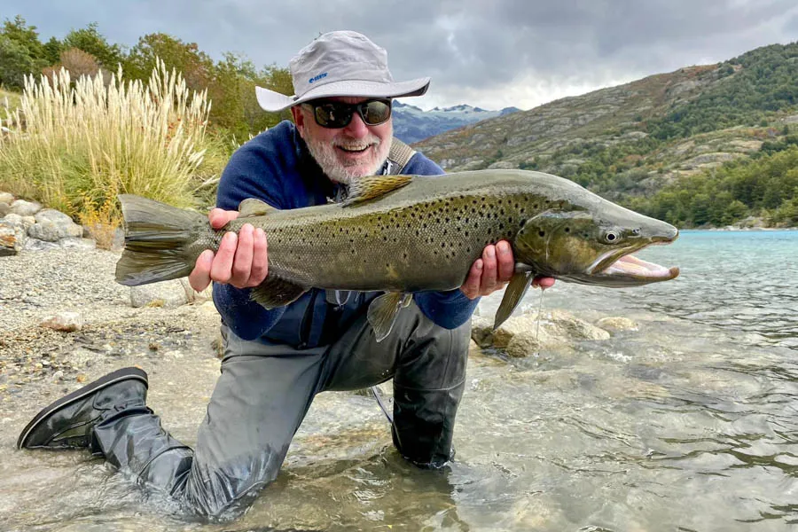 Monster Chilean brown trout