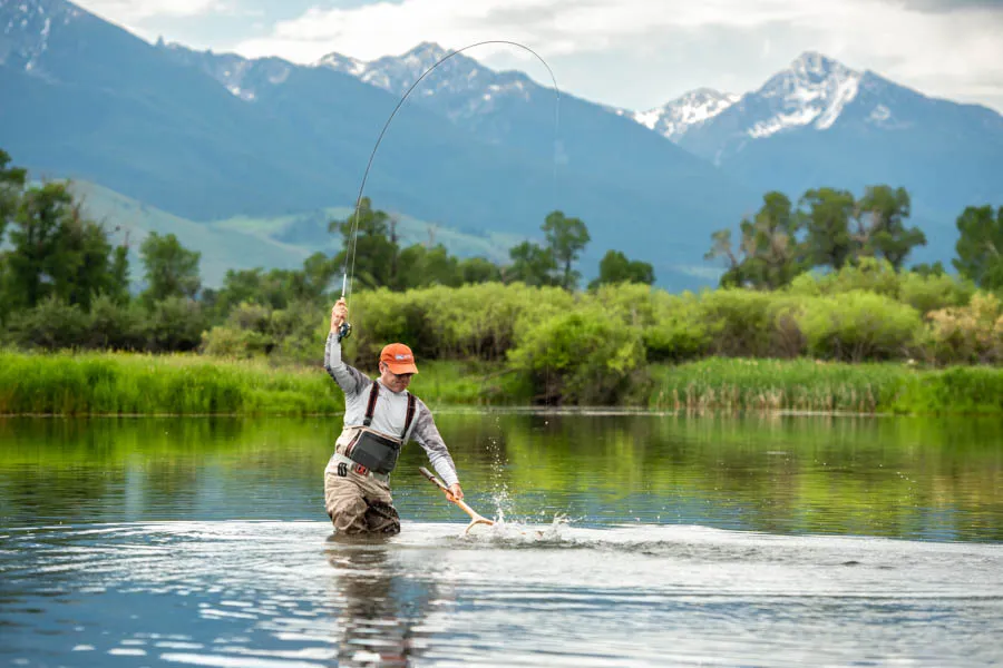 spring creek fishing in Montana fly fishing