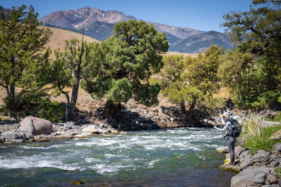 Fly fishing Montana