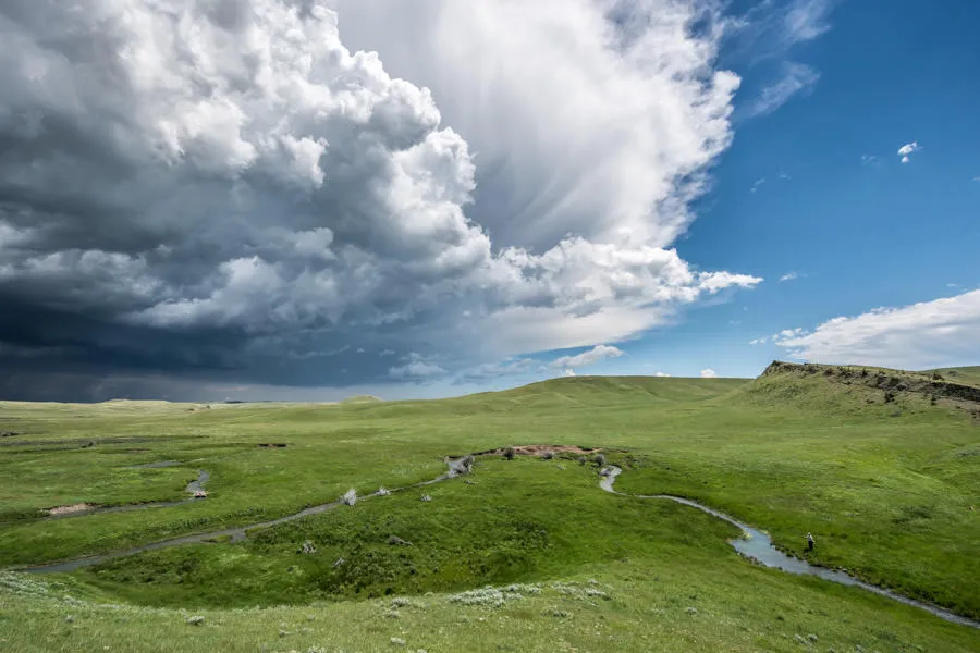 Montana private access spring creek