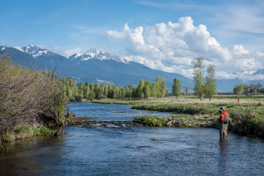 Fishing in MT
