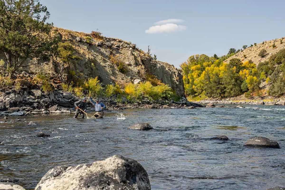 Fly Fishing in Yellowstone Park on the Yellowstone River